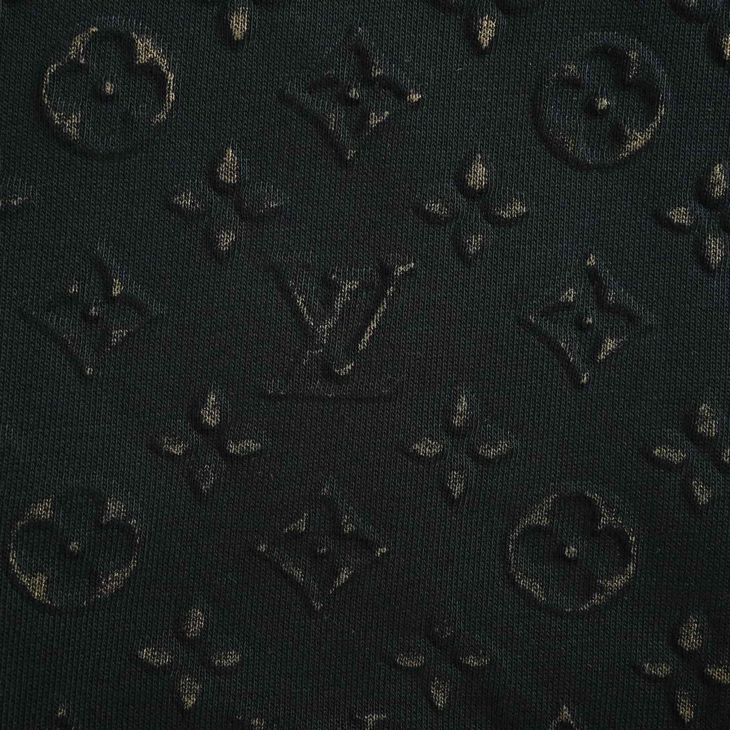 Louis Vuitton/Louis Vuitton presbyopic embossed hooded sweatshirt